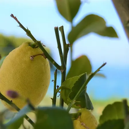 La Chiave Dei Trabocchi Отель