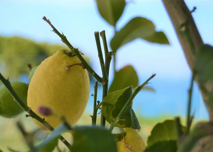 La Chiave Dei Trabocchi Hotel